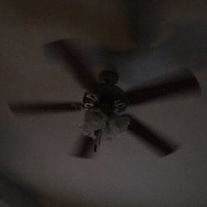 Meet your Posher, Ariel